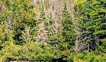 33 Acres Off Net Riv, Amasa, MI 49903