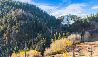 555 E Durant Ave 4E, Aspen, CO 81611