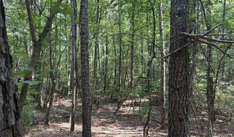 Ridge Road lot 1-E, Appling, GA 30802