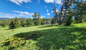 Blacktooth Road lot 12, Big Horn, WY 82833
