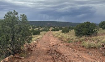 N8485, Concho, AZ 85924