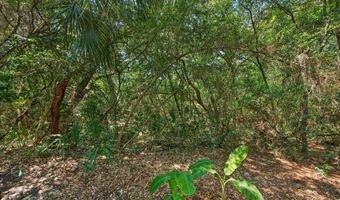 6 Clapper Rail Ct, Bald Head Island, NC 28461
