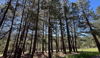 23 Preston Trl, Angel Fire, NM 87710