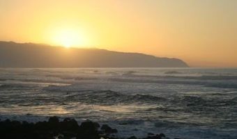 61-313 Kamehameha Hwy U, Haleiwa, HI 96712