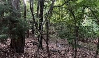 Vinita Circle, Monkey Island, OK 74331