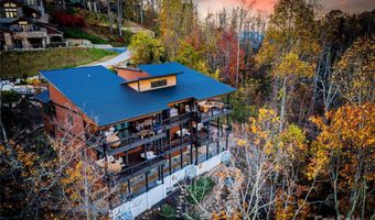 41 Ben Lippen School Rd, Asheville, NC 28806