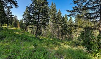 48 Bridle Ct, Bigfork, MT 59911