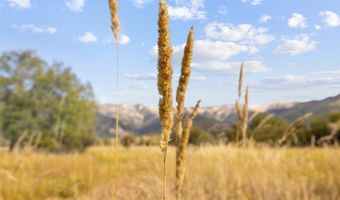 Springhill Community Road, Belgrade, MT 59714