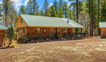 61 Co Rd 2266, Alpine, AZ 85920