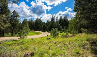 Price Loop lot 51, Cascade, ID 83611