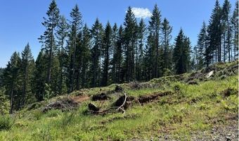 Tunnel Tract Parcel2, Banks, OR 97106