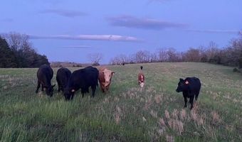 1307 Route Af, Ava, MO 65608