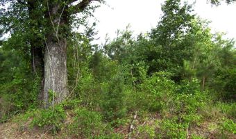 118 LR 27, Ashdown, AR 71822