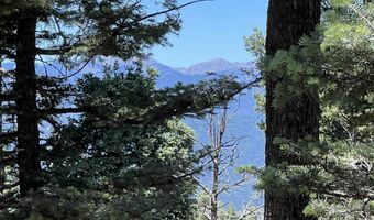 Rainbow Overlook Lot 1229RE Amended A, Angel Fire, NM 87710