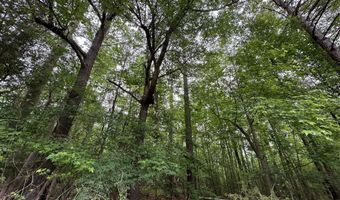 Lot 3a Elberton Highway, Lincolnton, GA 30817