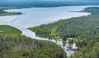 8990 PARK Ave, Alanson, MI 49706