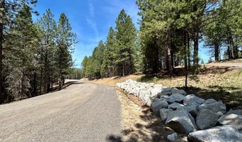 Sky Horse Drive lot 37, Cascade, ID 83611