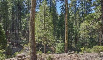 403 Sierra Pkwy, Camp Connell, CA 95223