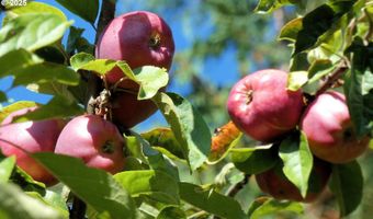 47615 Oregon Coast Hwy, Bandon, OR 97411