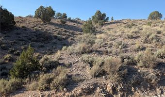 Mabel Trail 3.12 Acres, Caliente, NV 89008