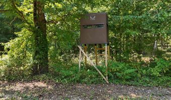 Putnam Road, Belzoni, MS 39038