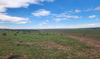 67 66 59 ACR N3377, Concho, AZ 85924