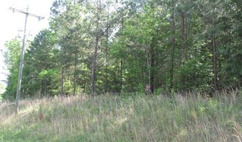 0 S. Rutherford St. And Oak Grove Rd, Blacksburg, SC 29702