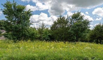 11 A70 Fairway Dr, Apple River, IL 61001