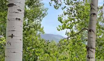 1443 Crystal Lake Rd 3E, Aspen, CO 81611