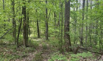 999999 Harwood Rd 2, Barnardsville, NC 28709