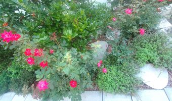 92 Valley Rd A, Cos Cob, CT 06807