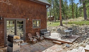 251 Haugen Slide Rd, Allenspark, CO 80510
