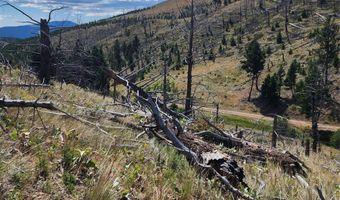 Nhn Plaindealer Lode Depot Hill Road, Boulder, MT 59632