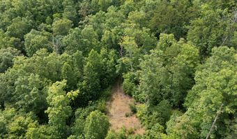 2401 Bell Point Rd, Beattyville, KY 41311