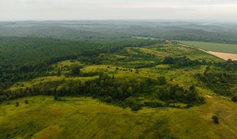 1037 Cr 300, Big Creek, MS 38914