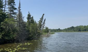 6378 Macey Ln, Alpena, MI 49707