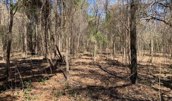 Lot 4 Gibson Rd, Athens, TX 75751