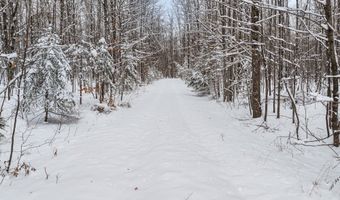 7438 Afton Rd, Afton, MI 49705