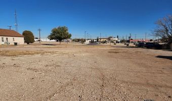 701 S Halagueno St, Carlsbad, NM 88220