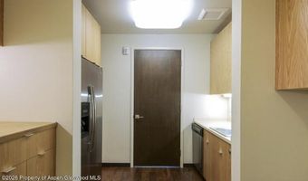 625 E Main St 204, Aspen, CO 81611