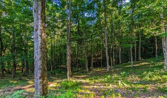 Amber Ranches 47, Bakersville, NC 28705
