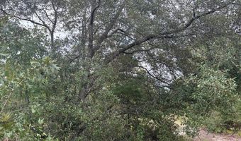 4539 NW Miller/White LN Rd, Altha, FL 32421