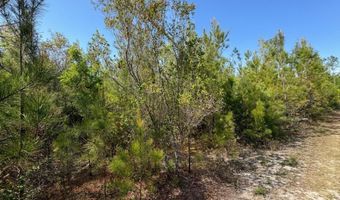 Broadview Avenue, Alford, FL 32420