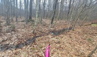 Glade Run Road, Albright, WV 26519