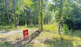 Perkins Road, Barnesville, GA 30204