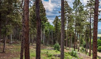 10 Brazos Dr, Angel Fire, NM 87710