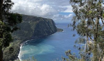 48-5416 KUKUIHAELE Rd, Honokaa, HI 96727