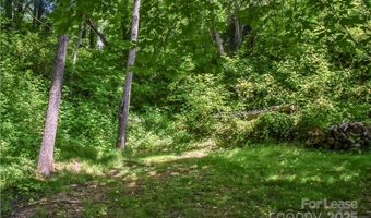 543 College St, Asheville, NC 28801