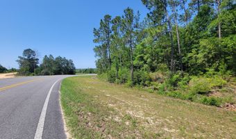 Tbd US-231, Alford, FL 32420