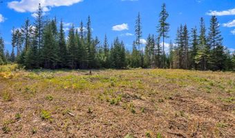 L13B1 Leonard Loop, Athol, ID 83801